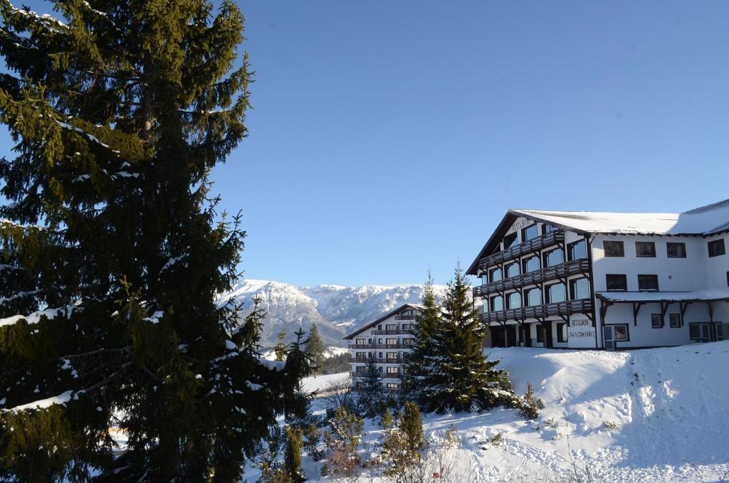 Cheile Gradistei Fundata Resort Extérieur photo