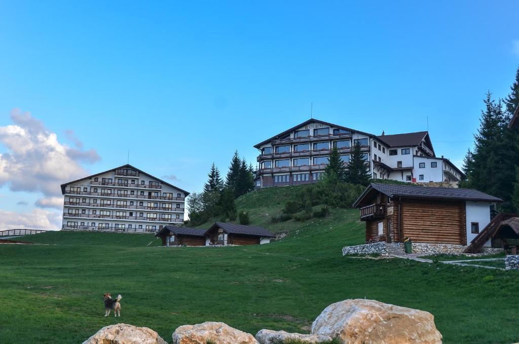 Cheile Gradistei Fundata Resort Extérieur photo