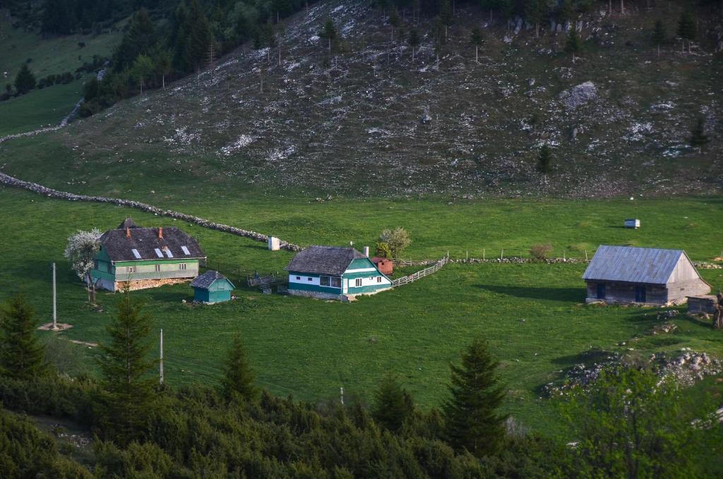 Cheile Gradistei Fundata Resort Extérieur photo